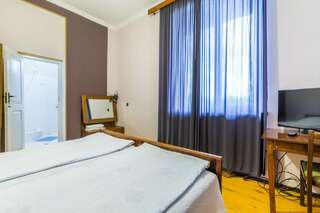 Отели типа «постель и завтрак» Zeus Olimpo Hotel Телави Двухместный номер с 1 кроватью и собственной ванной комнатой-4